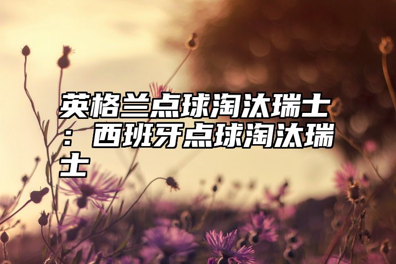 英格兰点球淘汰瑞士：西班牙点球淘汰瑞士