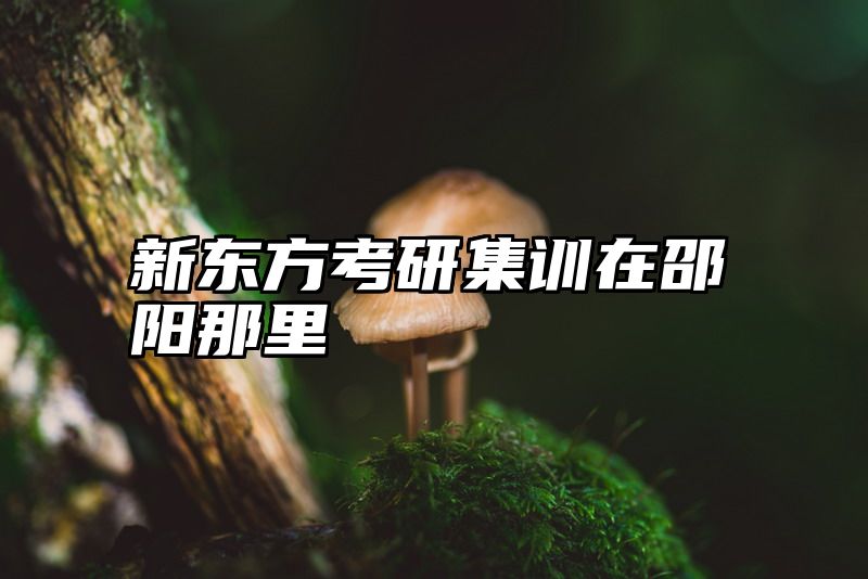 新东方考研集训在邵阳那里