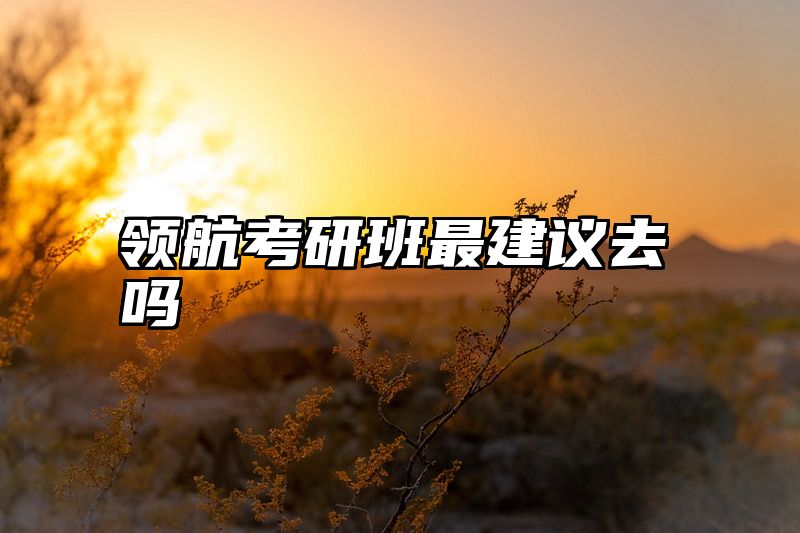 领航考研班最建议去吗