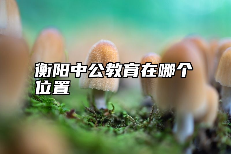 衡阳中公教育在哪个位置