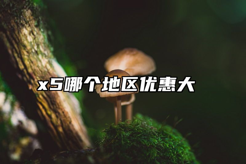 x5哪个地区优惠大