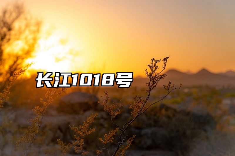 长江1018号