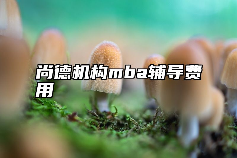 尚德机构mba辅导费用