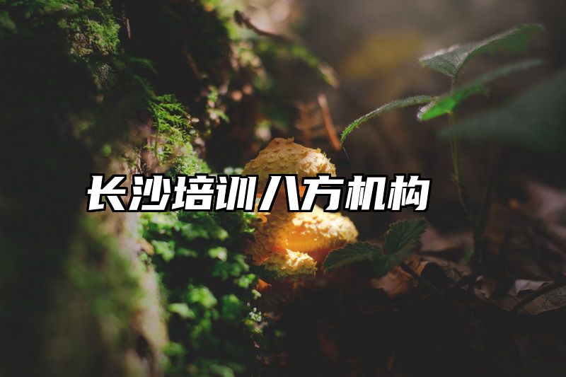 长沙培训八方机构
