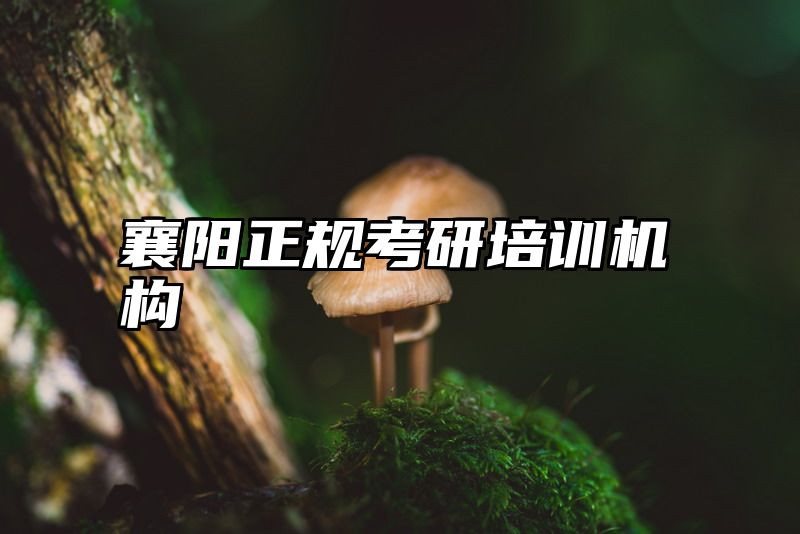 襄阳正规考研培训机构