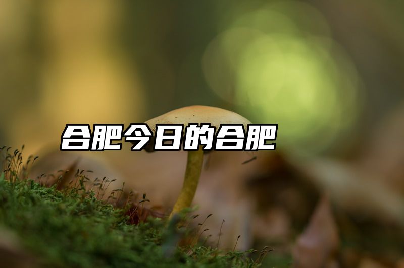 合肥今日的合肥