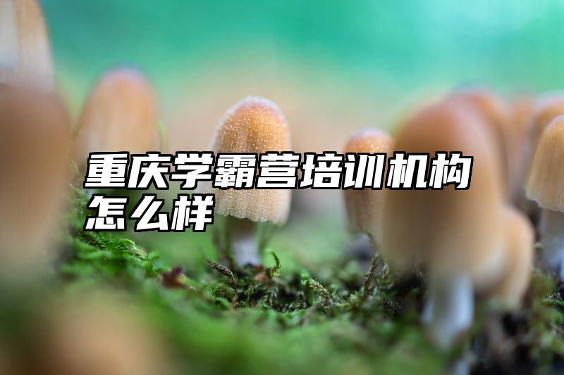 重庆学霸营培训机构怎么样
