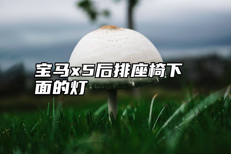 宝马x5后排座椅下面的灯