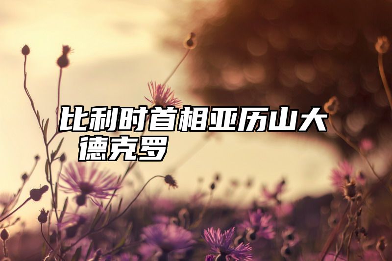 比利时首相亚历山大 德克罗
