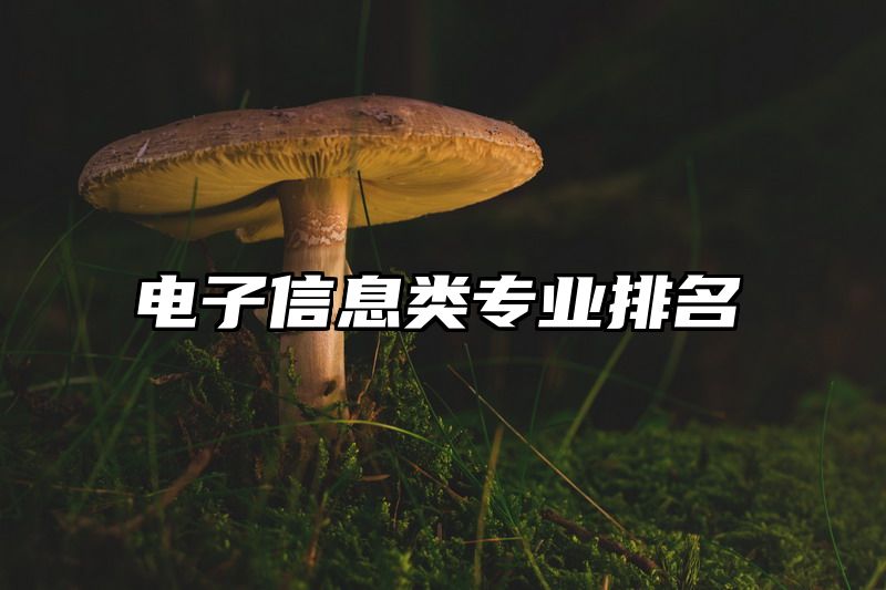 电子信息类专业排名