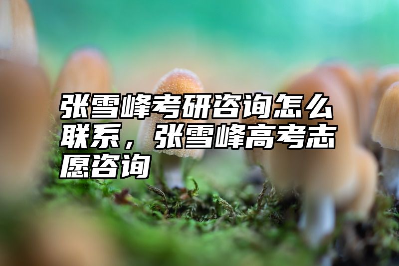 张雪峰考研咨询怎么联系，张雪峰高考志愿咨询