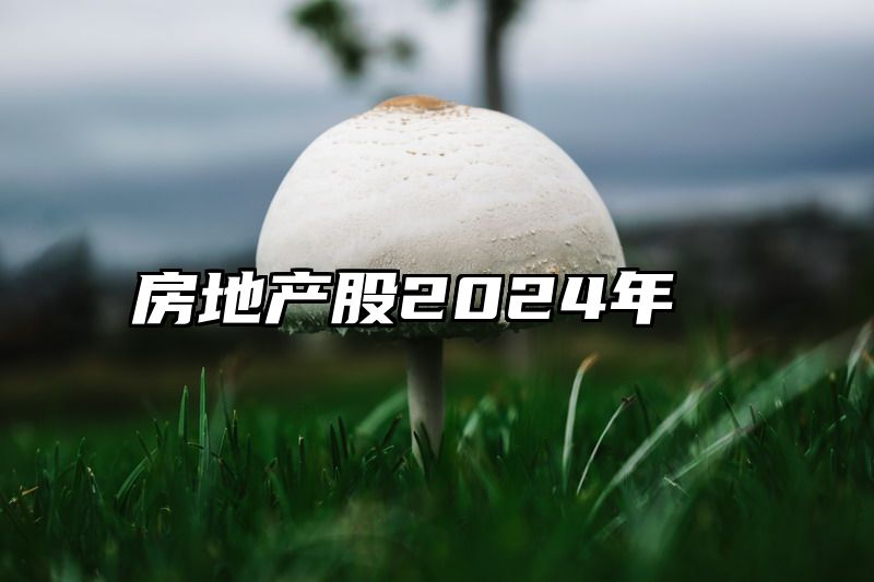 房地产股2024年