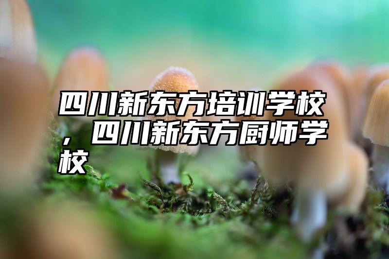 四川新东方培训学校，四川新东方厨师学校