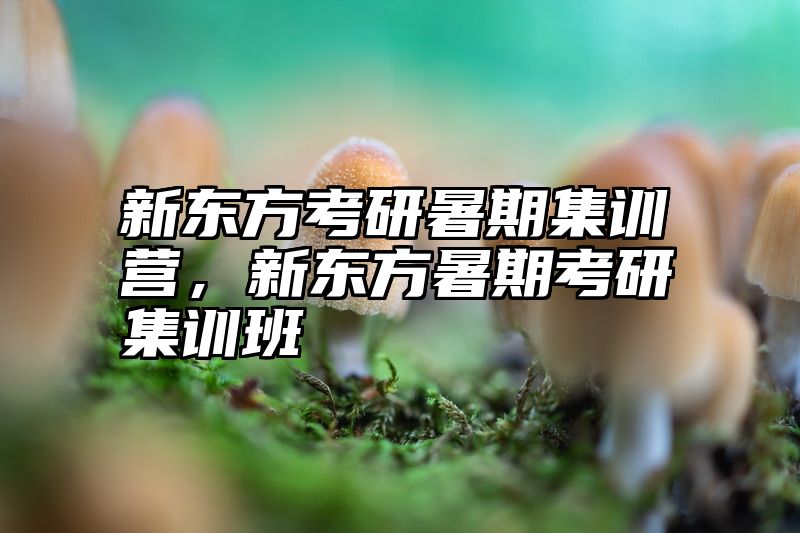 新东方考研暑期集训营，新东方暑期考研集训班