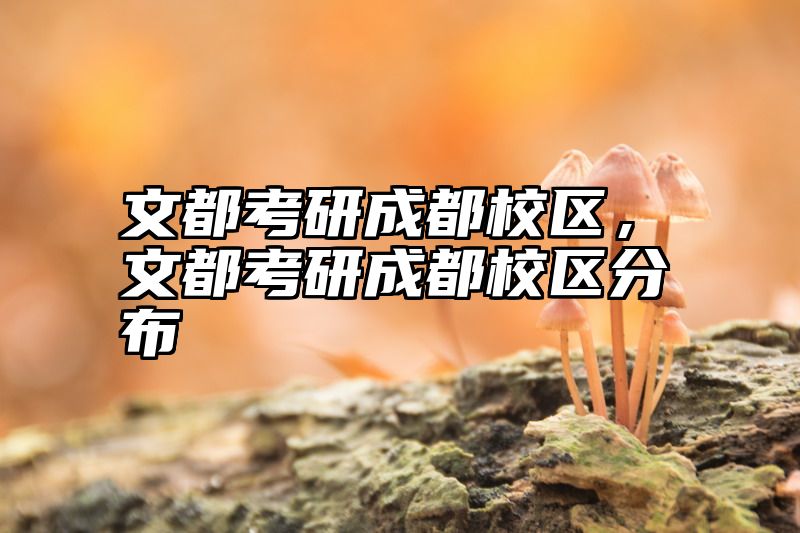文都考研成都校区，文都考研成都校区分布