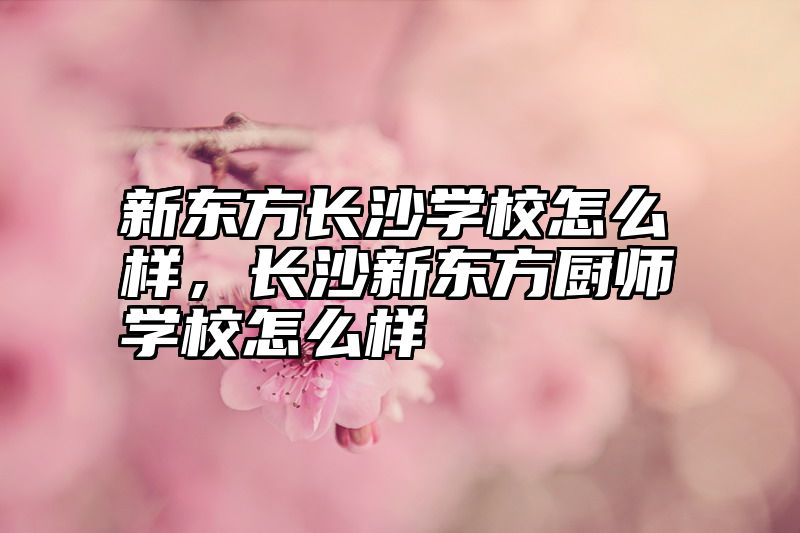 新东方长沙学校怎么样，长沙新东方厨师学校怎么样
