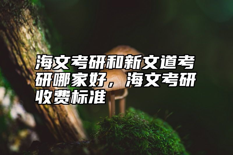 海文考研和新文道考研哪家好，海文考研收费标准