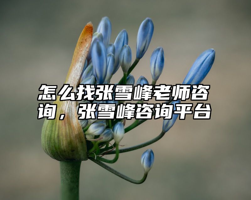 怎么找张雪峰老师咨询，张雪峰咨询平台