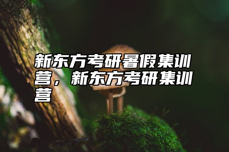 新东方考研暑假集训营，新东方考研集训营