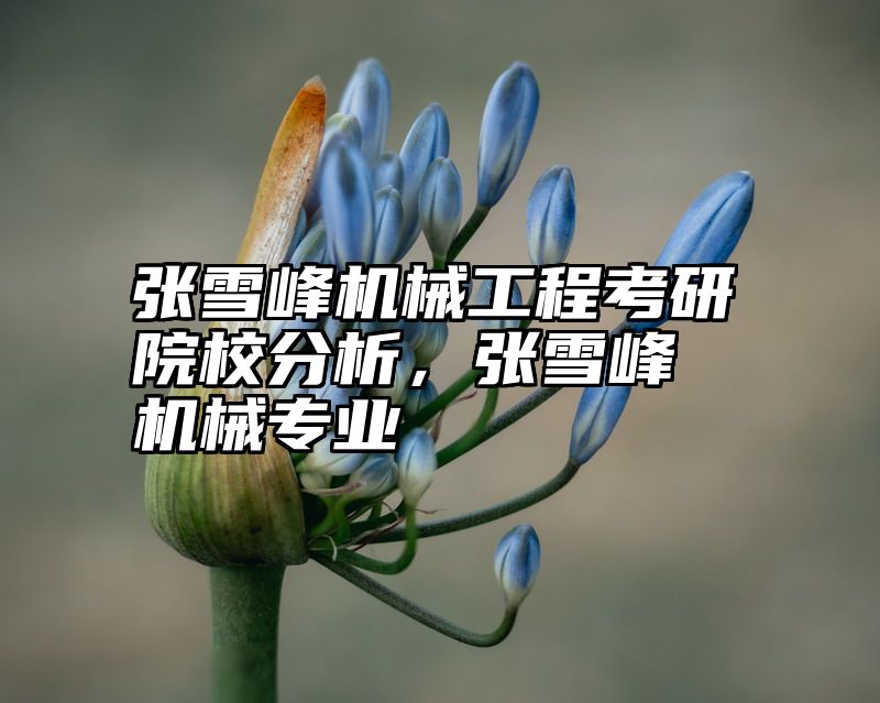 张雪峰机械工程考研院校分析，张雪峰 机械专业