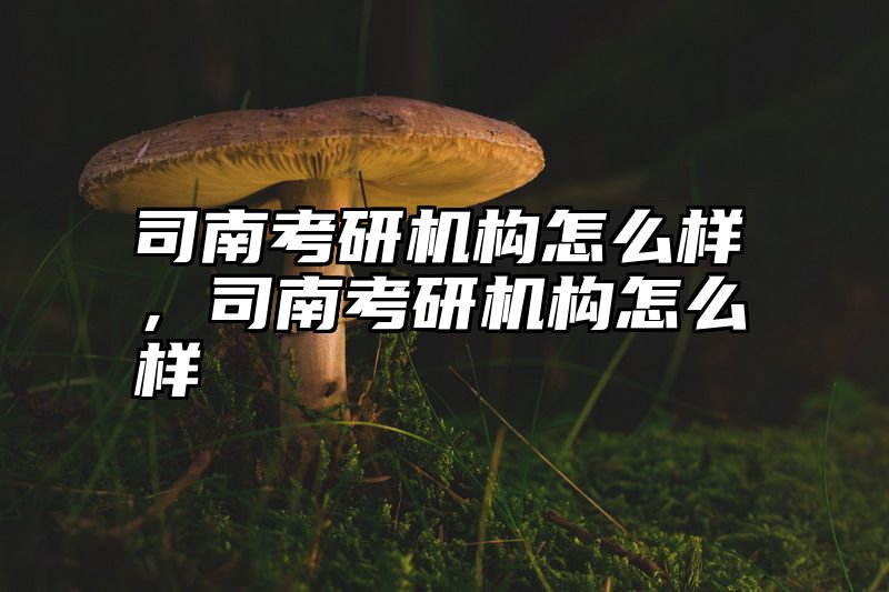 司南考研机构怎么样，司南考研机构怎么样