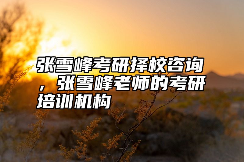 张雪峰考研择校咨询，张雪峰老师的考研培训机构