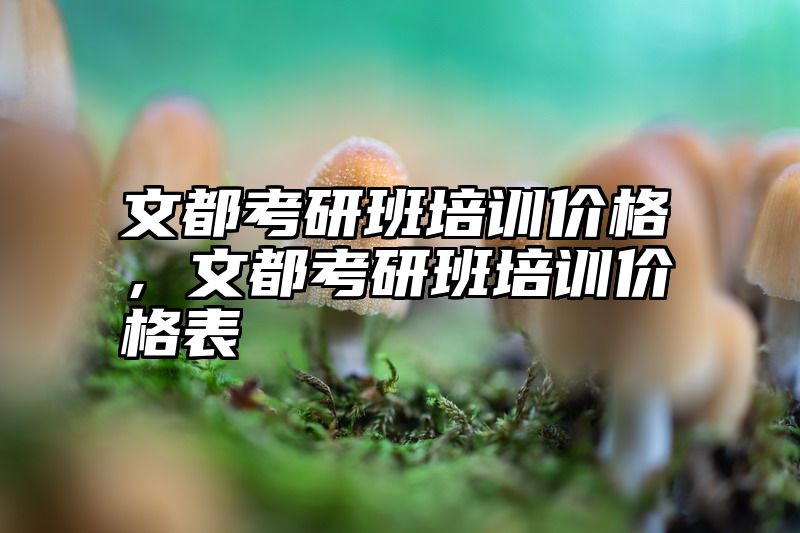 文都考研班培训价格，文都考研班培训价格表