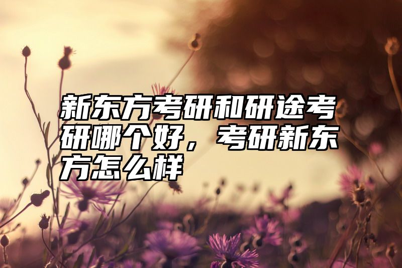 新东方考研和研途考研哪个好，考研新东方怎么样