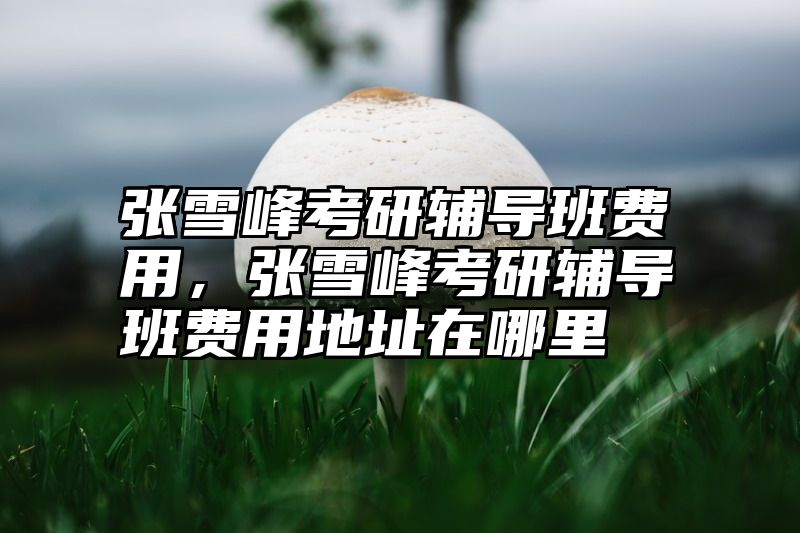 张雪峰考研辅导班费用，张雪峰考研辅导班费用地址在哪里