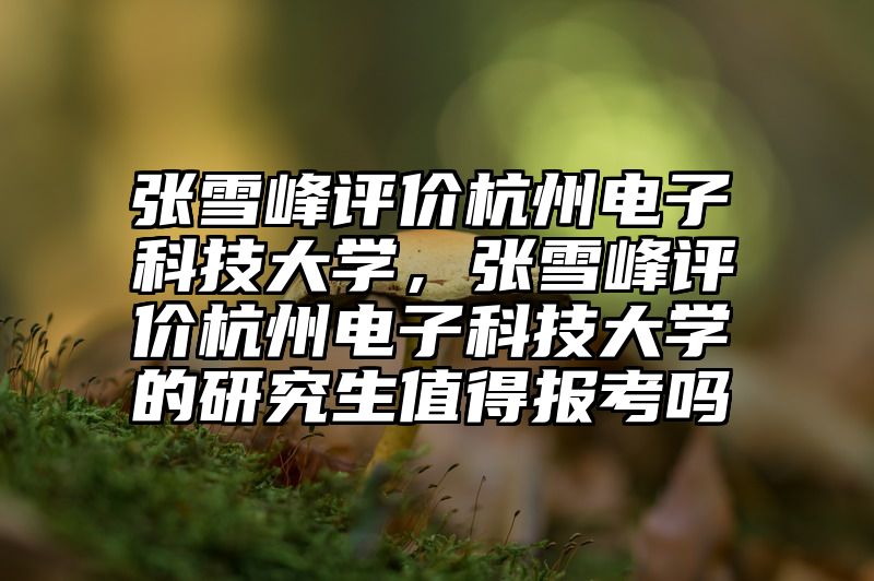张雪峰评价杭州电子科技大学，张雪峰评价杭州电子科技大学的研究生值得报考吗