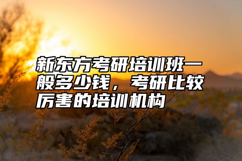 新东方考研培训班一般多少钱，考研比较厉害的培训机构