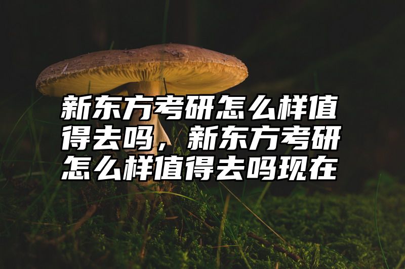 新东方考研怎么样值得去吗，新东方考研怎么样值得去吗现在