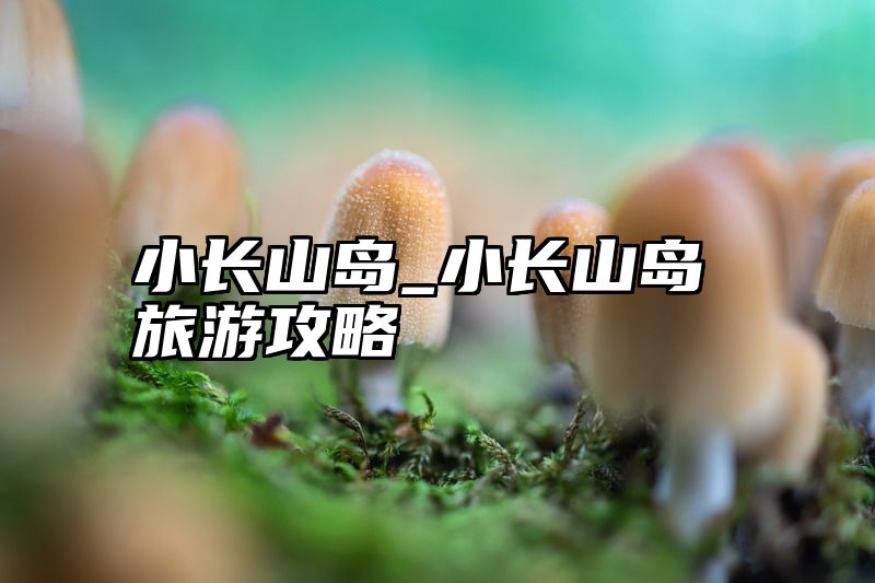 小长山岛_小长山岛旅游攻略
