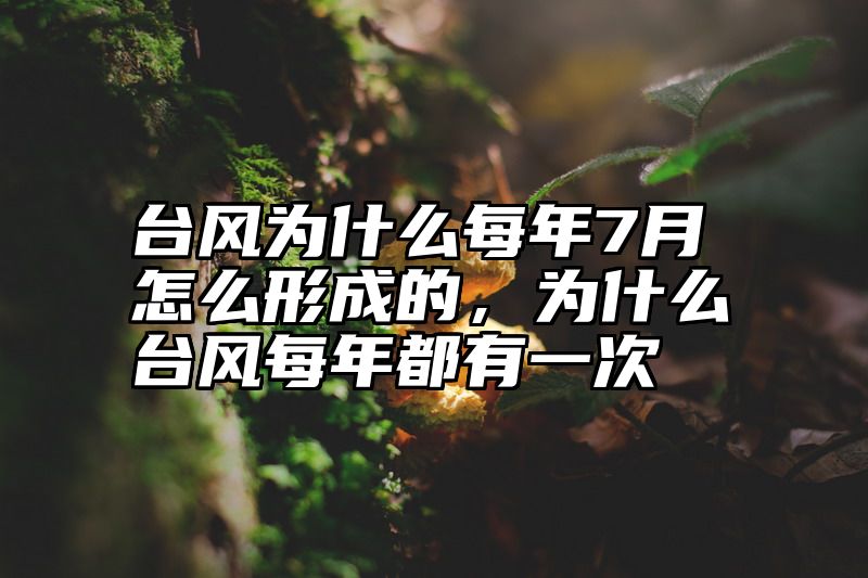 台风为什么每年7月怎么形成的，为什么台风每年都有一次