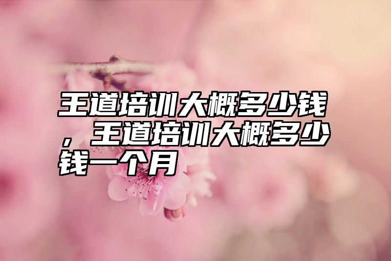 王道培训大概多少钱，王道培训大概多少钱一个月
