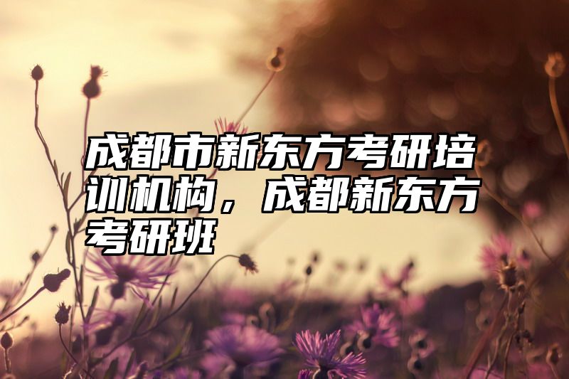 成都市新东方考研培训机构，成都新东方考研班