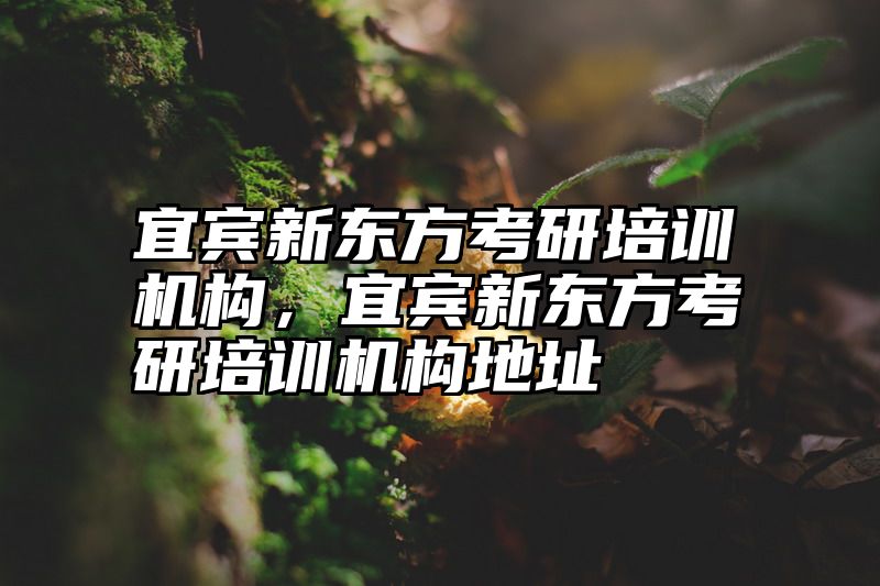 宜宾新东方考研培训机构，宜宾新东方考研培训机构地址