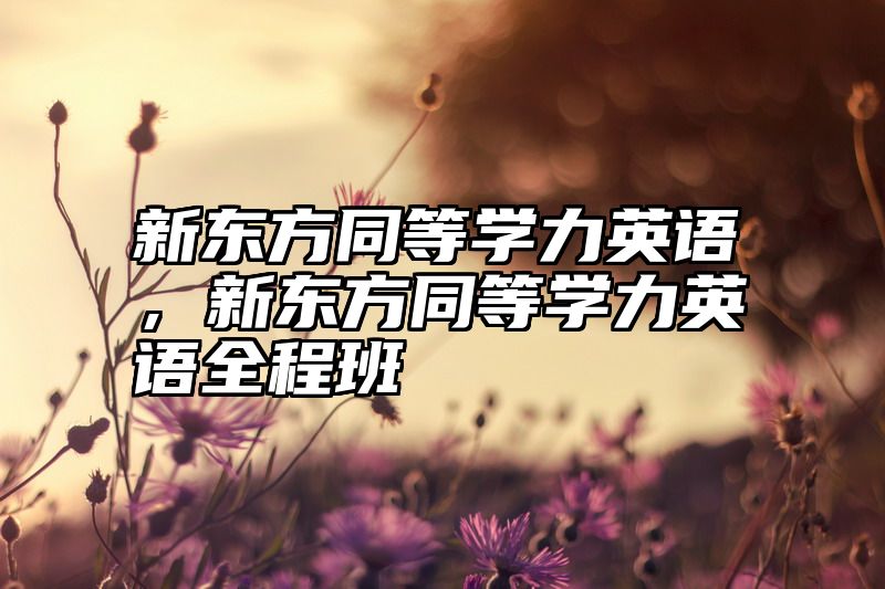 新东方同等学力英语，新东方同等学力英语全程班