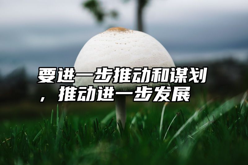 要进一步推动和谋划，推动进一步发展