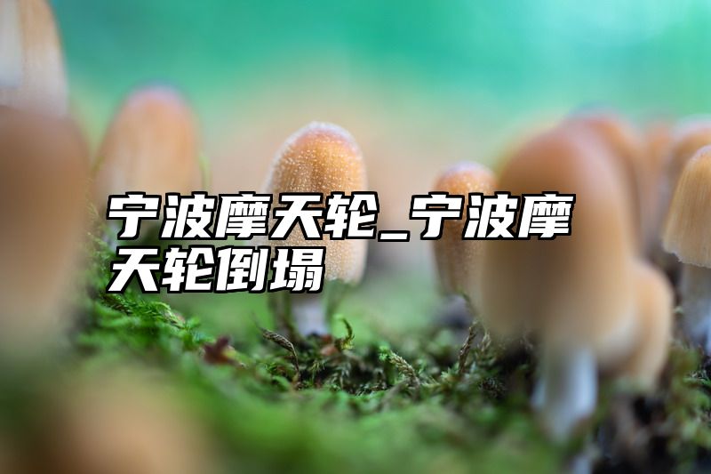 宁波摩天轮_宁波摩天轮倒塌