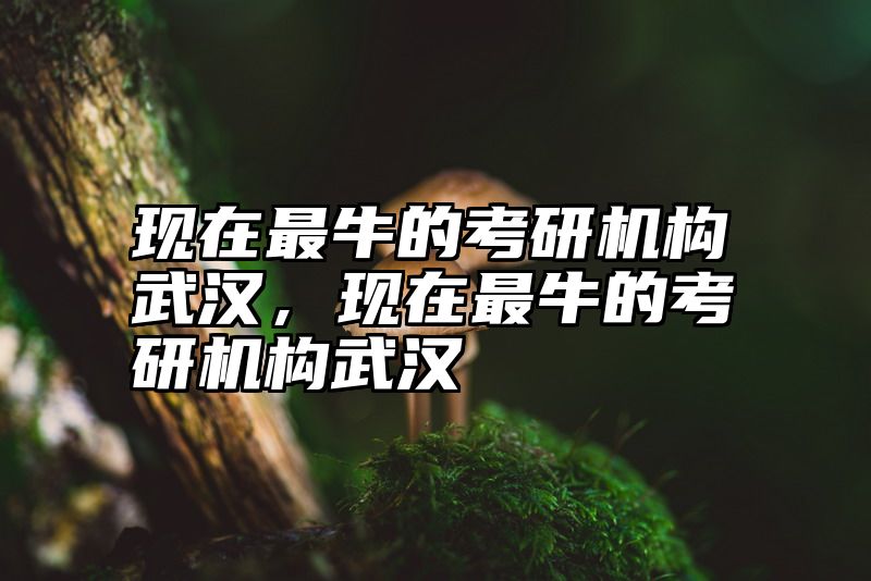现在最牛的考研机构武汉，现在最牛的考研机构武汉