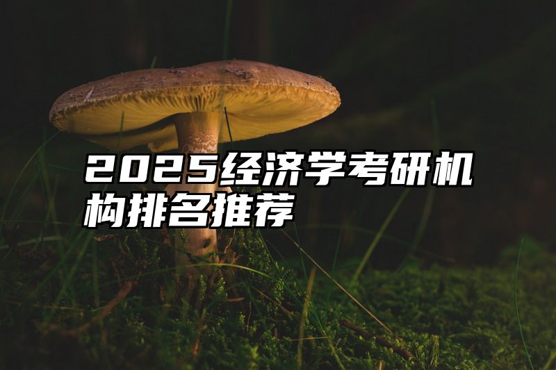 2025经济学考研机构排名推荐