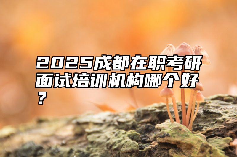 2025成都在职考研面试培训机构哪个好？