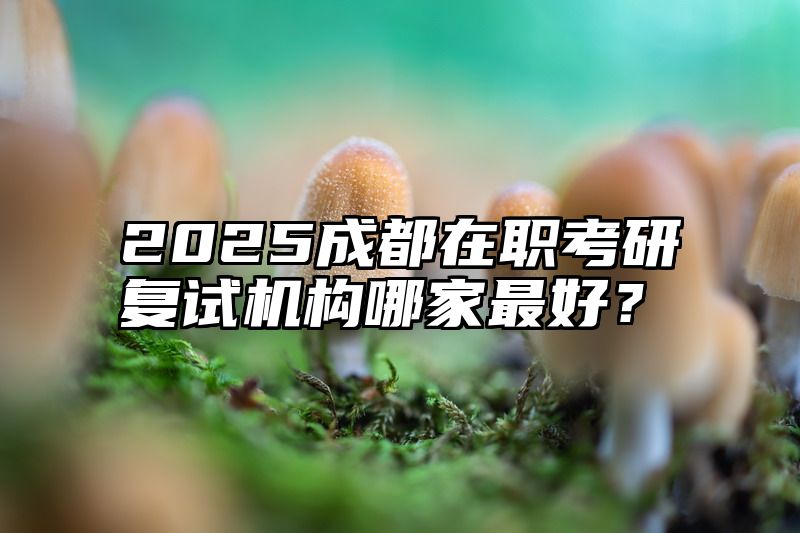2025成都在职考研复试机构哪家最好？