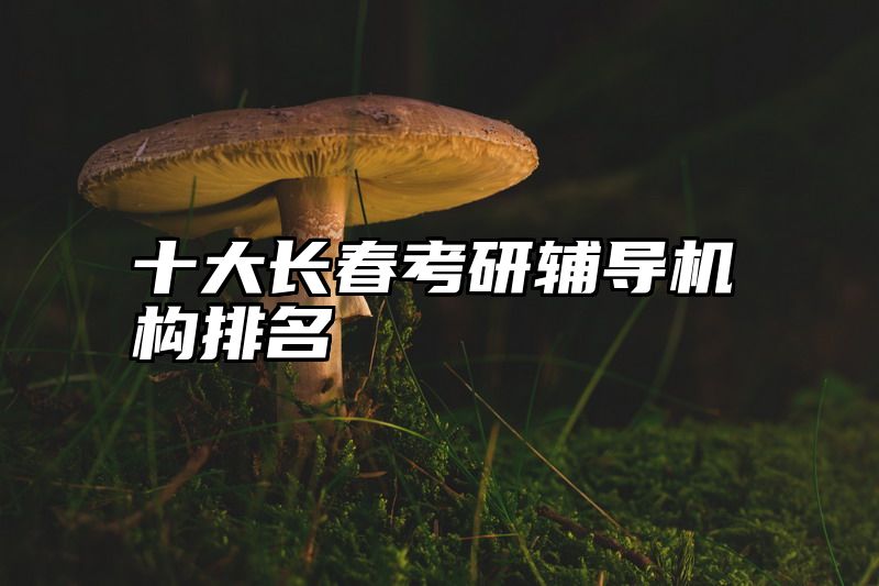十大长春考研辅导机构排名