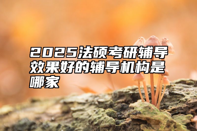 2025法硕考研辅导效果好的辅导机构是哪家